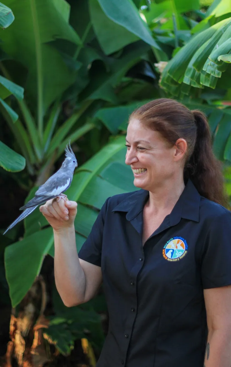Dr Bec, principal veterinarian at Wild North, with a cockatiel patient