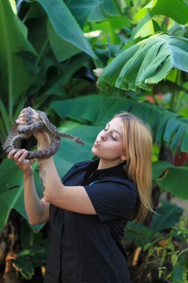 Veterinary Nurse — Veterinary Nurse