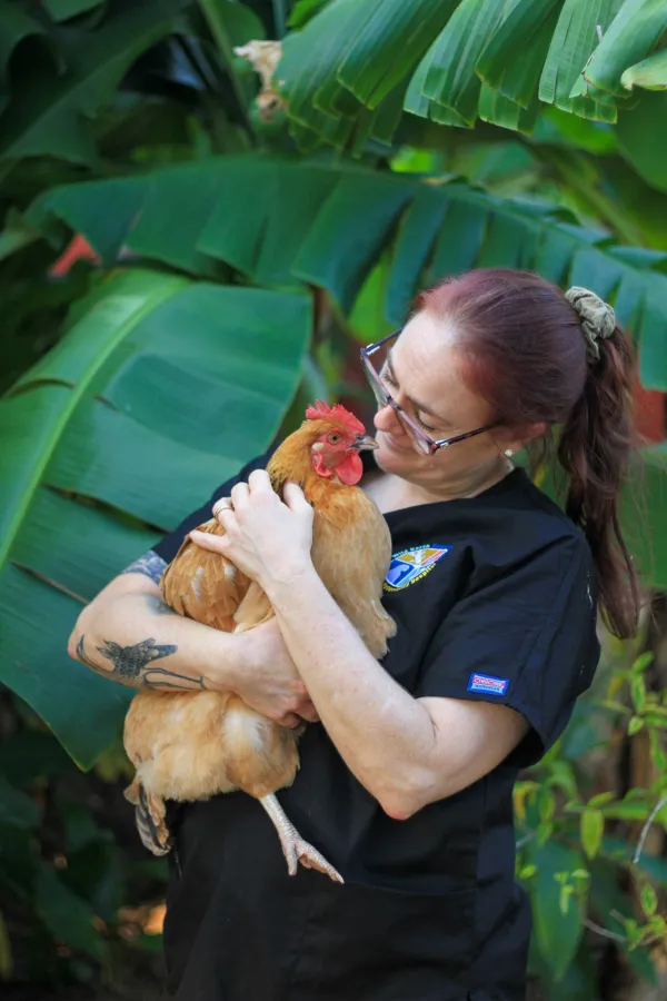 Veterinary Nurse — Veterinary Nurse